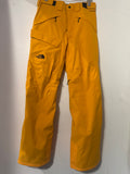 Northface dryvent ski pants